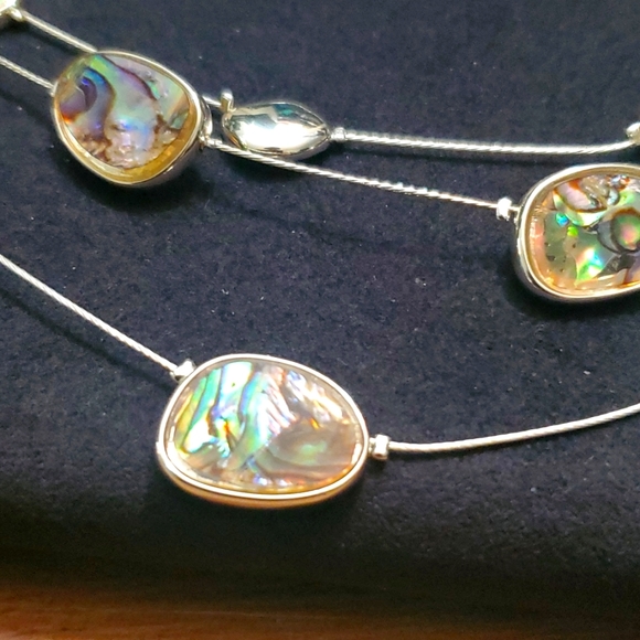 Dana Buchman Silver Tone Abalone Illusion Necklace - Picture 2 of 6